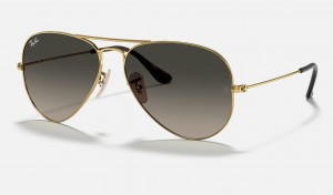 Ray Ban Aviator Havana Collection Women's Sunglasses Grey | 20486-EGKV