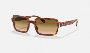 Ray Ban Benji Men's Sunglasses Brown | 62910-KZJR