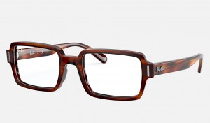 Ray Ban Benji Optics Women's Eyeglasses Brown | 31750-MPNG