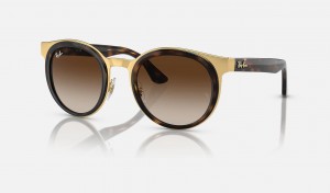 Ray Ban Bonnie Men's Sunglasses Brown | 93054-BVZM