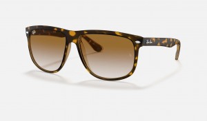 Ray Ban Boyfriend Men's Sunglasses Brown | 09134-GJFU