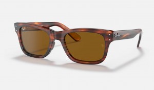 Ray Ban Burbank Men's Sunglasses Brown | 10349-SKAF