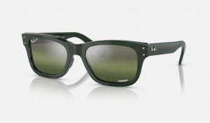 Ray Ban Burbank Men's Sunglasses Green | 02563-WTQI