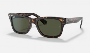 Ray Ban Burbank Men's Sunglasses Green | 52863-PXUL