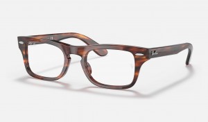 Ray Ban Burbank Optics Kids' Eyeglasses Brown | 07538-PEBH