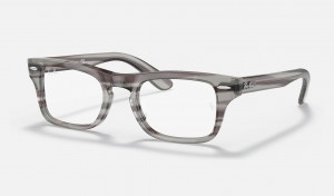 Ray Ban Burbank Optics Kids' Eyeglasses Grey | 63417-RTXV