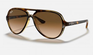 Ray Ban Cats 5000 Classic Women's Sunglasses Brown | 90752-LJVY