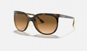 Ray Ban Cats 5000 Women's Sunglasses Brown | 48097-XCST