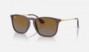 Ray Ban Chris Men's Sunglasses Brown | 36805-GLSH