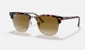 Ray Ban Clubmaster Fleck Women's Sunglasses Brown | 01948-BLOM