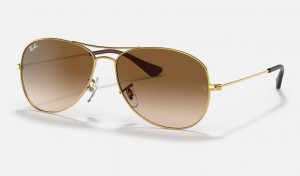 Ray Ban Cockpit Men's Sunglasses Brown | 69057-NZOC