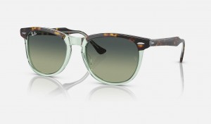 Ray Ban Eagle Eye Men's Sunglasses Green | 81925-HVLD