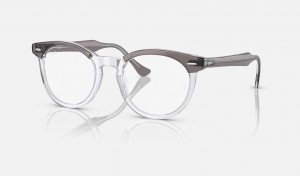 Ray Ban Eagle Eye Optics Men's Eyeglasses Grey | 82904-IVJU