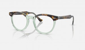 Ray Ban Eagle Eye Optics Men's Eyeglasses Green | 47265-DKFG