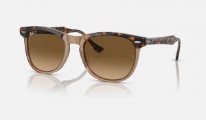 Ray Ban Eagle Eye Women's Sunglasses Brown | 26791-NVTO