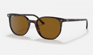 Ray Ban Elliot Men's Sunglasses Brown | 12547-EMLK