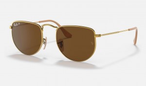 Ray Ban Elon Men's Sunglasses Brown | 87041-WZFO