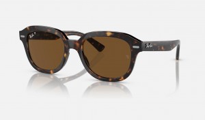 Ray Ban Erik Men's Sunglasses Brown | 81456-HSTB