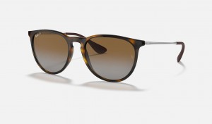 Ray Ban Erika Classic Men's Sunglasses Brown | 43917-HXOP