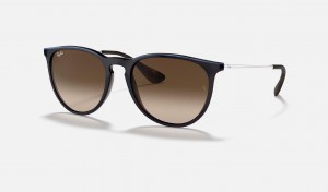 Ray Ban Erika Classic Men's Sunglasses Brown | 81590-TKQY