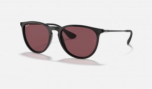 Ray Ban Erika Classic Women's Sunglasses Purple | 10629-ICYZ