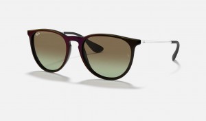 Ray Ban Erika Classic Women's Sunglasses Green | 82690-RYZF