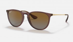 Ray Ban Erika Classic Women's Sunglasses Brown | 98105-TYBN