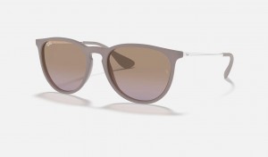 Ray Ban Erika Classic Women's Sunglasses Brown | 93087-VYUQ