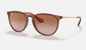 Ray Ban Erika Classic Women's Sunglasses Brown | 67509-ZSKA