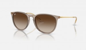 Ray Ban Erika Classic Women's Sunglasses Brown | 25790-TZLM