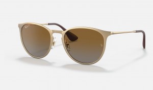 Ray Ban Erika Metal Men's Sunglasses Brown | 07538-FTEZ