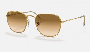 Ray Ban Frank Legend Gold Men's Sunglasses Brown | 27389-VPBS