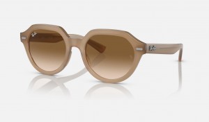 Ray Ban Gina Men's Sunglasses Brown | 26853-IWAB