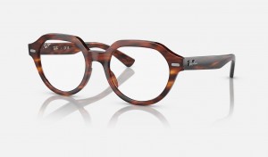 Ray Ban Gina Optics Women's Eyeglasses Brown | 18470-EPYU