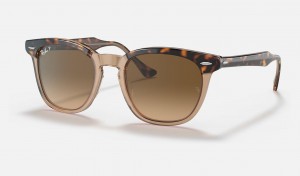 Ray Ban Hawkeye Men's Sunglasses Brown | 45216-YNKS