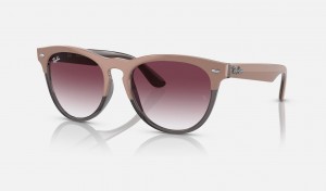 Ray Ban Iris Men's Sunglasses Purple | 71043-PYWA