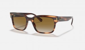 Ray Ban Jeffrey Men's Sunglasses Brown | 79534-BUGL