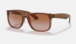 Ray Ban Justin Classic Men's Sunglasses Brown | 27064-EKGX