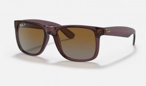 Ray Ban Justin Classic Men's Sunglasses Brown | 48297-UQIZ