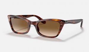 Ray Ban Lady Burbank Men's Sunglasses Brown | 32104-PJNS