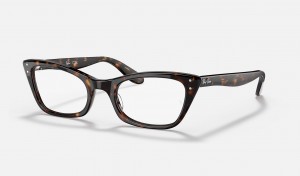 Ray Ban Lady Burbank Optics Men's Eyeglasses Black | 95762-CKLI