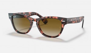 Ray Ban Laramie Men's Sunglasses Brown | 17859-PISL