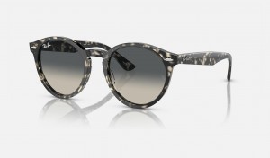 Ray Ban Larry Men's Sunglasses Grey | 78325-MZIS