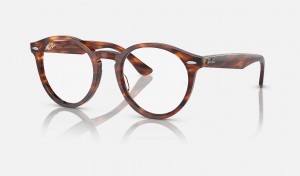 Ray Ban Larry Optics Women's Eyeglasses Brown | 26597-SGCA