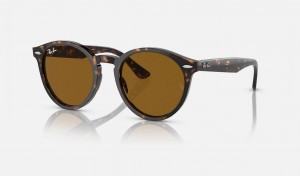 Ray Ban Larry Women's Sunglasses Brown | 04731-RGBI