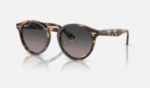 Ray Ban Larry Women's Sunglasses Grey | 81250-XIHB