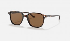 Ray Ban Leonard Men's Sunglasses Brown | 97805-ZGWD