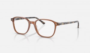 Ray Ban Leonard Optics Men's Eyeglasses Brown | 27530-NJRZ