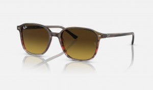 Ray Ban Leonard Women's Sunglasses Brown | 86172-GMKE