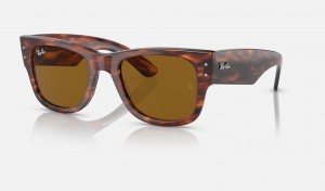 Ray Ban Mega Wayfarer Men's Sunglasses Brown | 04918-RAZC